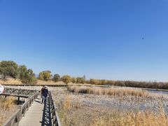 -野鸭湖国家湿地公园
