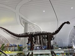 -银川河东国际机场