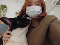 -Let's go狗咖·猫咖·奶狗·桌游(春熙路IFS店)