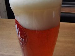 -Boxing Cat Brewery拳击猫精酿啤酒馆(永福店)