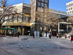 -中粮·祥云小镇