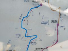 -沈阳植物园