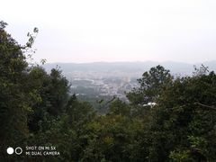 -火炉山森林公园