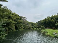 -杭州植物园