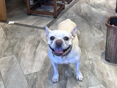 -唐八仙生煎(东鱼坊店)