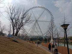 -祥源·阜阳生态乐园