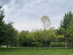 -北坞公园