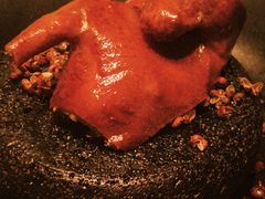 -许家菜.艺创菜(仁和新城店)