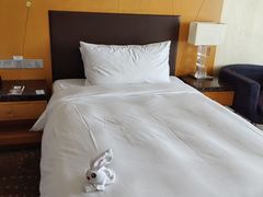 -天津滨海圣光皇冠假日酒店