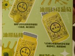 -野萃山·潮汕厚果汁(十亩地店)