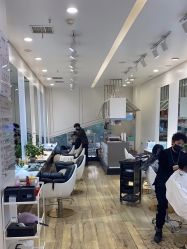 -YESIDO椰岛造型