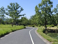 -良渚古城遗址公园