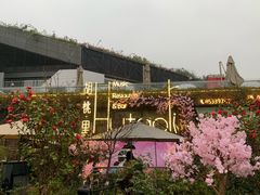 -胡桃里音乐酒馆(环亚凯瑟琳广场店)