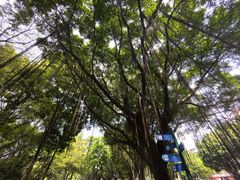 -晓港公园
