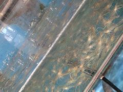 -鸿兴楼酒家嘉山路店