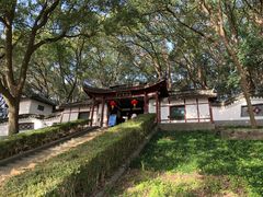 -上海佘山国家森林公园天马山园