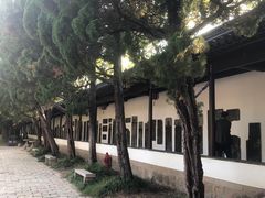 -苏州文庙(姑苏区)