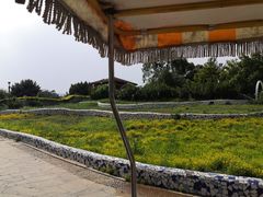 -石家庄市植物园