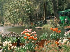 -深圳市中科院仙湖植物园