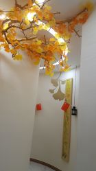 -芳朵美容养生SPA