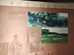 -东莞展览馆