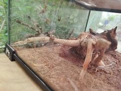 -南宫五洲植物乐园