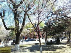 -锦绣公园