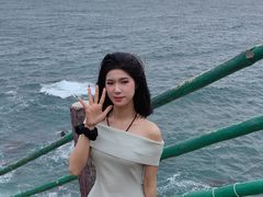 -广东惠东海龟国家级自然保护区