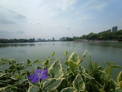 -时间仓(月湖公园店)