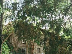 -北京大学燕东园