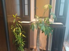 -中山保利艾美酒店-乐美中餐厅