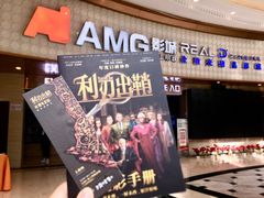 -AMG海上明珠影城(上海环球港RealDCinema店)