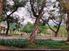 -大埔公路-马料水段香港中文大学(公交站)