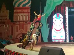 -俄罗斯国家大马戏团