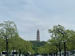-顺峰山公园