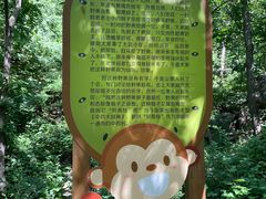 -大岭沟猕猴桃谷风景区