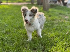 -小意思咖啡店(草桥店)