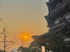 -洋湖国家湿地公园