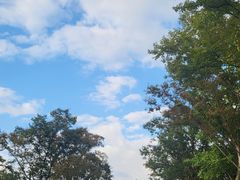 -院士公园