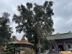-南华禅寺