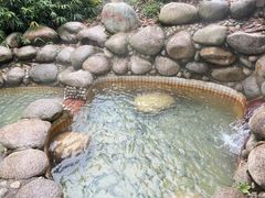 -三江森林温泉度假区