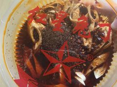 -红星兔丁(东风大桥店)