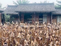 景观位-莫催咖啡