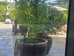 -昆山琶拉帝诗酒店·河畔咖啡厅Riverside Cafe