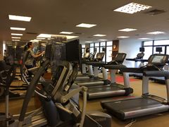 -健身专家Wellness Experts
