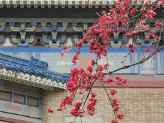 -广州中山纪念堂