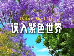-西昌邛海湿地
