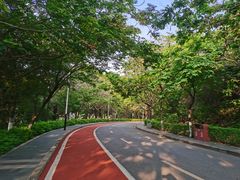 -水濂山森林公园