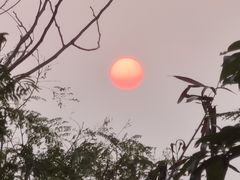 -梧桐山风景名胜区