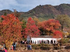 -塔川景区